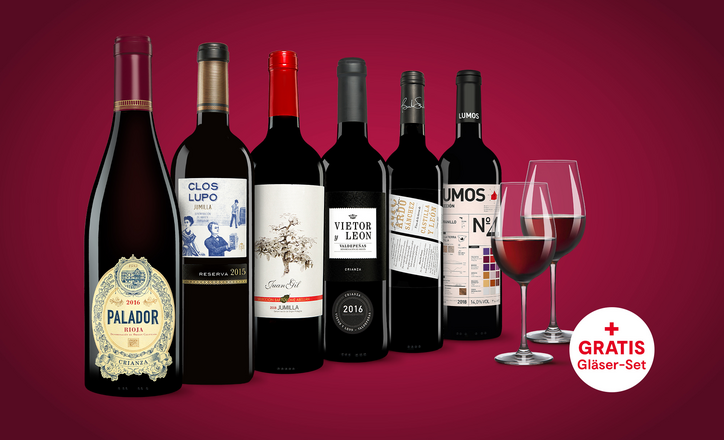 Vinos Rotwein Paket Vinos Spanien Spezialist Nr