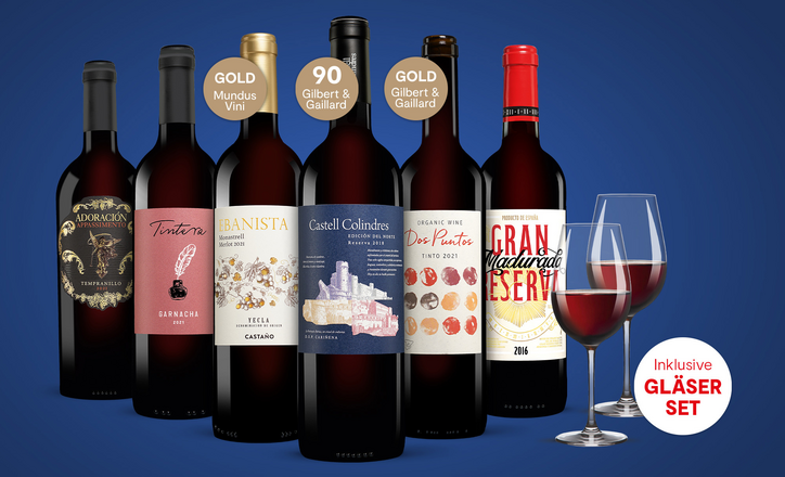 Vinos Rotwein Paket Vinos Spanien Spezialist Nr 1