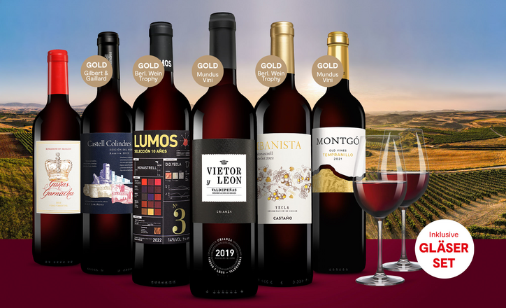 Vinos Rotwein Paket Vinos Spanien Spezialist Nr