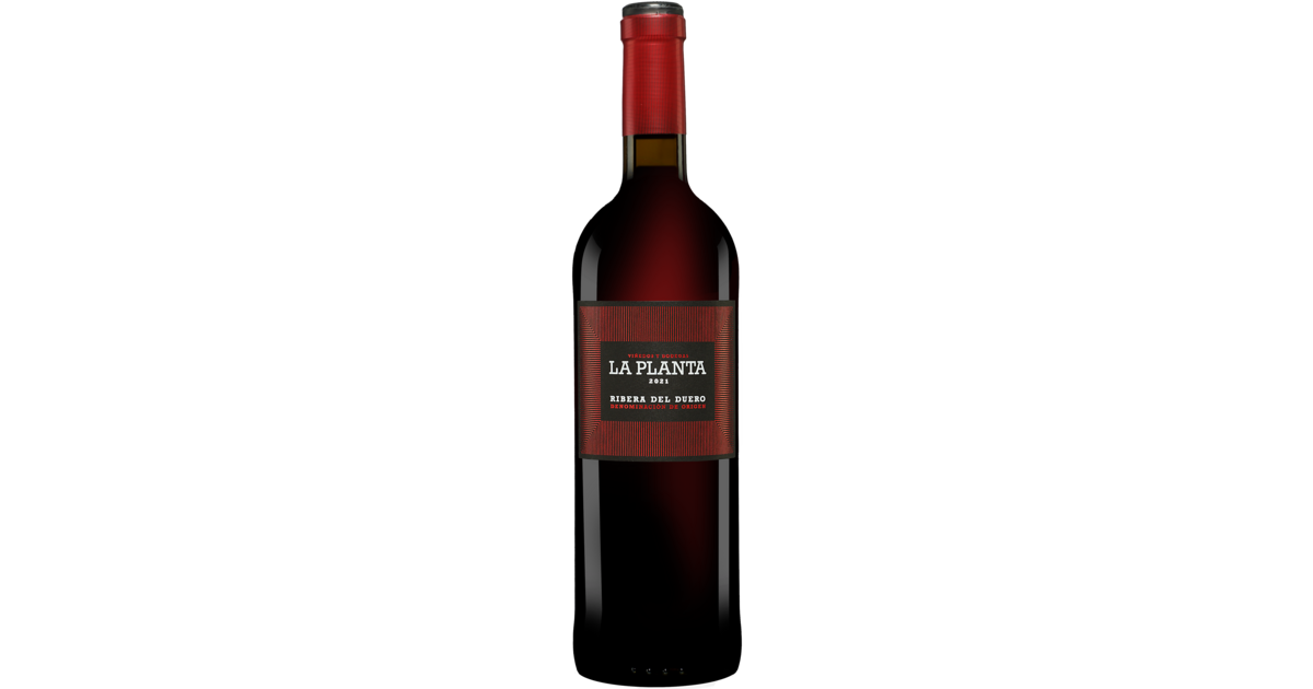 Arzuaga La Planta 2021 | Vinos, Spanien-Spezialist Nr.1