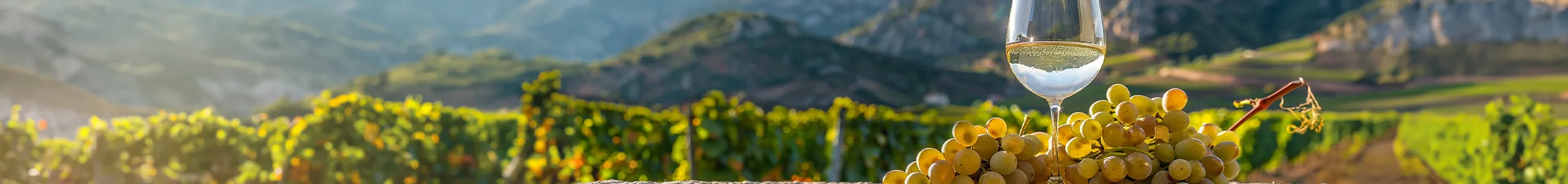 Chardonnay-Weine kaufen