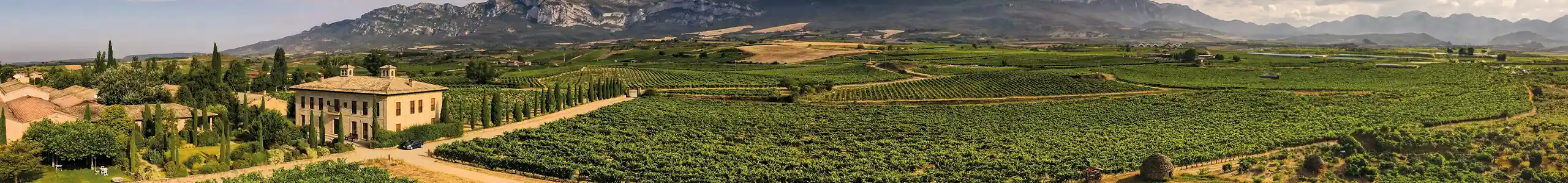 Alle Rioja-Weine von Luis Cañas