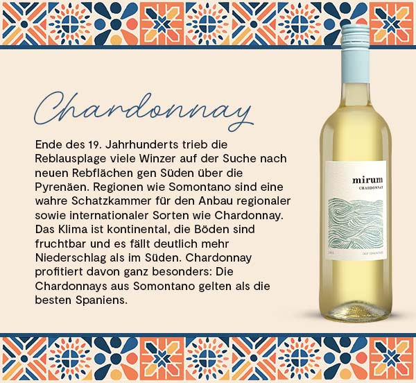 Spaniens Weinvielfalt Paket