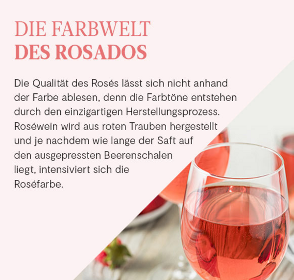Ventolita Rosado 2019