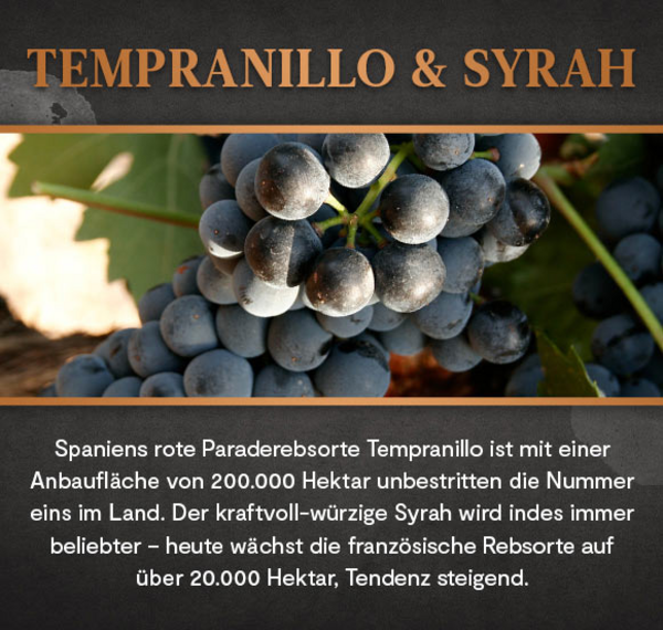 Dos Puntos Tinto Organic 2019