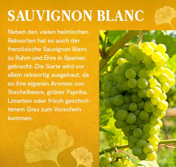 Intuición Sauvignon Blanc 2020