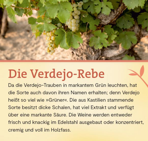 Quietus Verdejo 2020