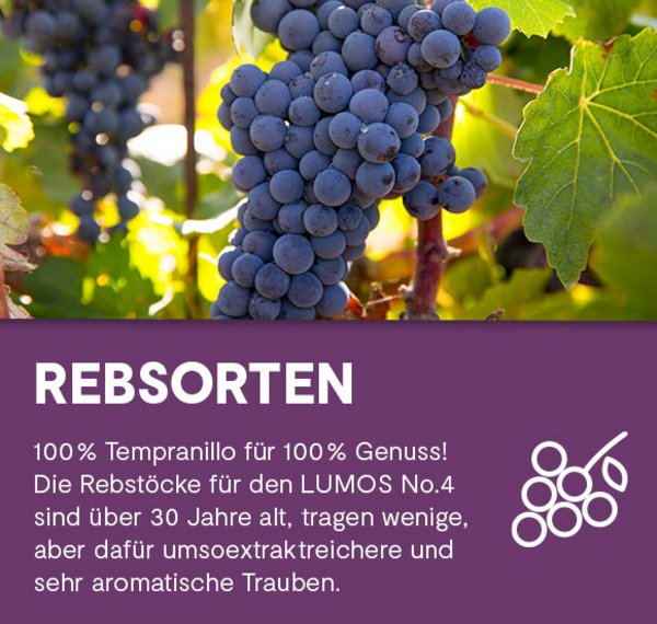 LUMOS No.4 Tempranillo 2020