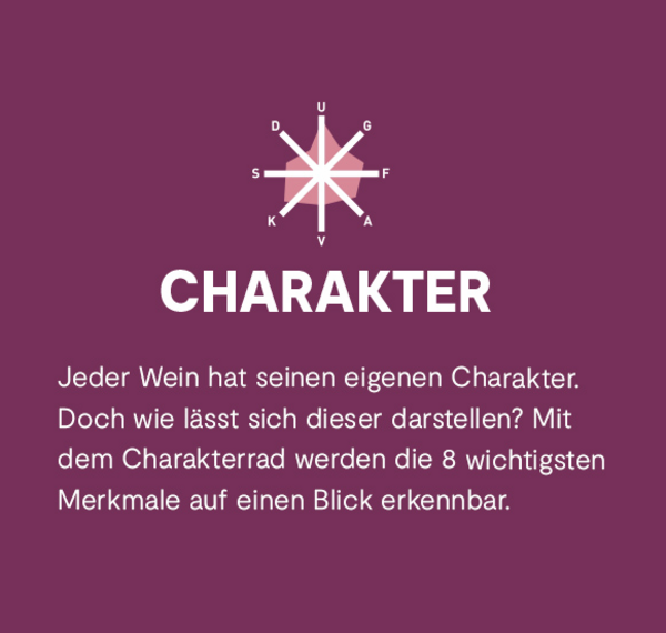 LUMOS-Sommer-Paket