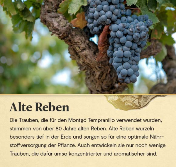 Montgó Tempranillo 2019