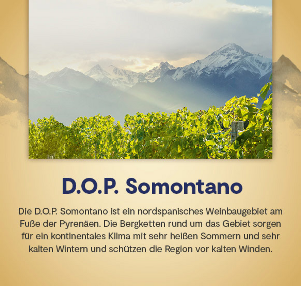 Mont Clou Chardonnay 2021
