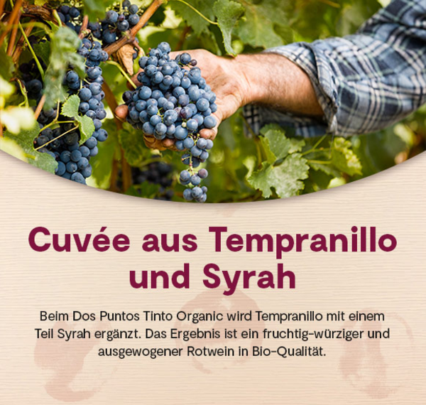 Dos Puntos Tinto Organic 2020