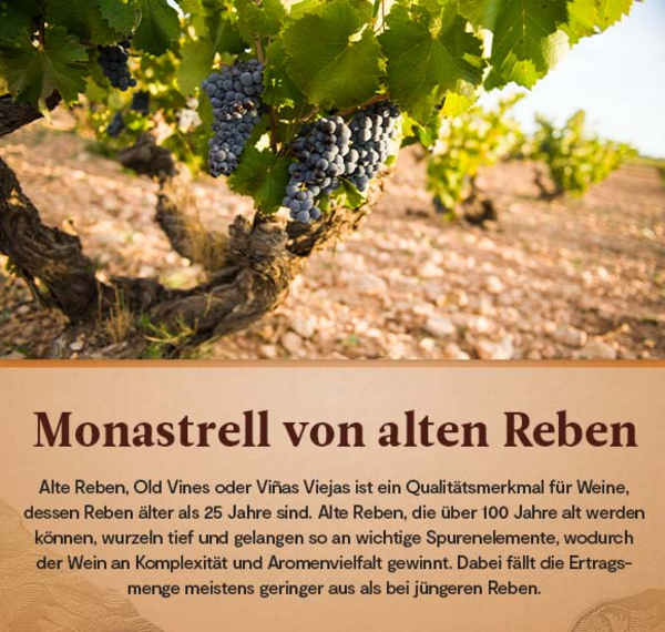 Montgó Monastrell 2019