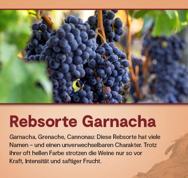 Atteca Garnacha Selección de la Familia 2019