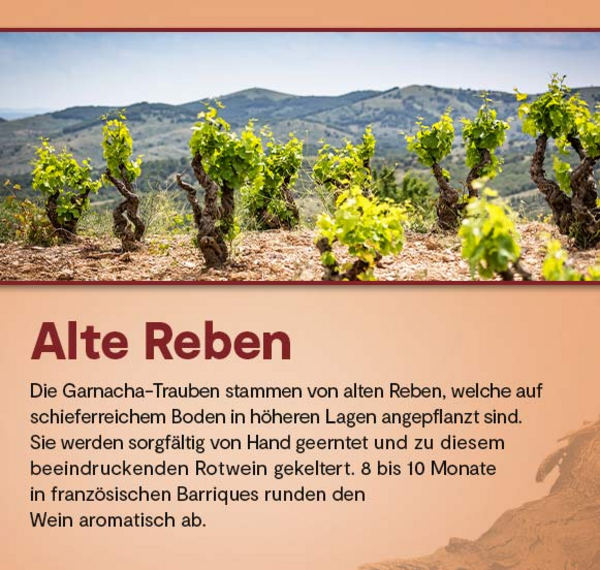 Atteca Garnacha Selección de la Familia 2019