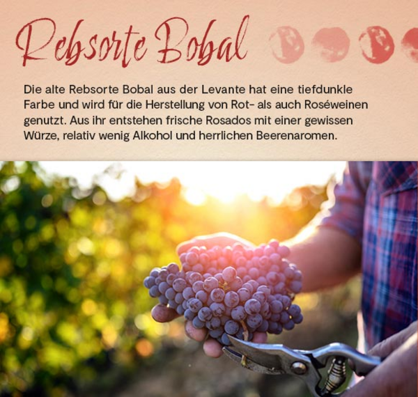 Dos Puntos Rosado Organic 2021