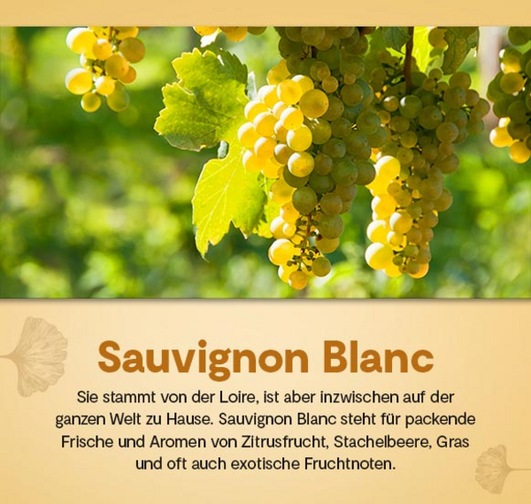 Intuición Sauvignon Blanc 2021