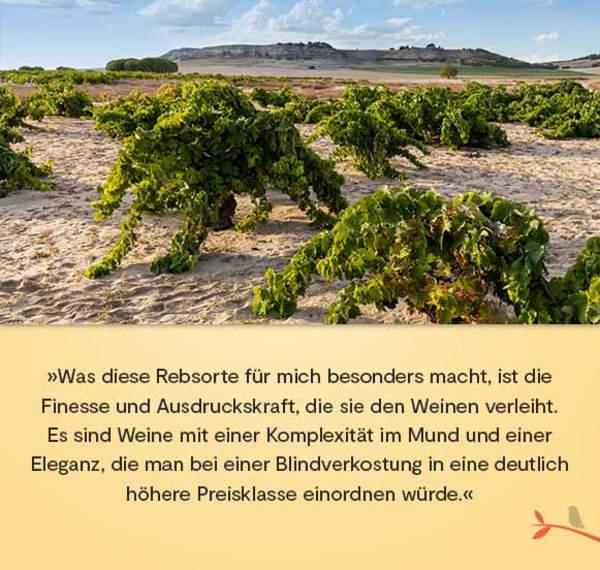 Quietus Verdejo 2021