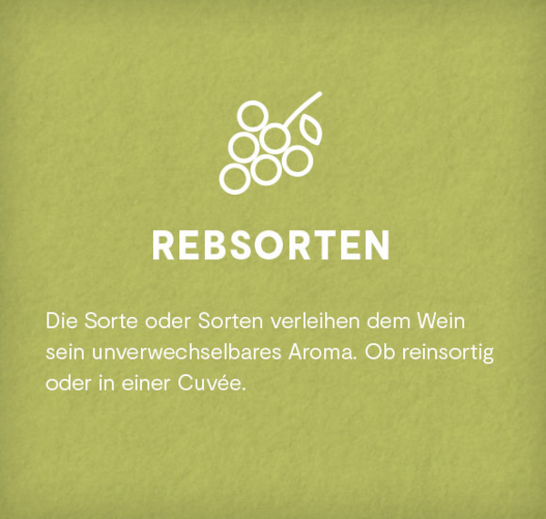 LUMOS-Sommer-Paket