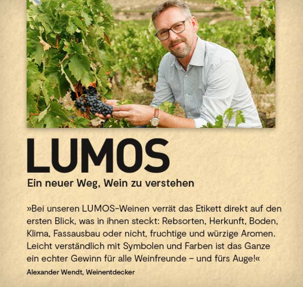 LUMOS-Sommer-Paket