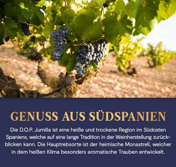 Montgó Monastrell 2020