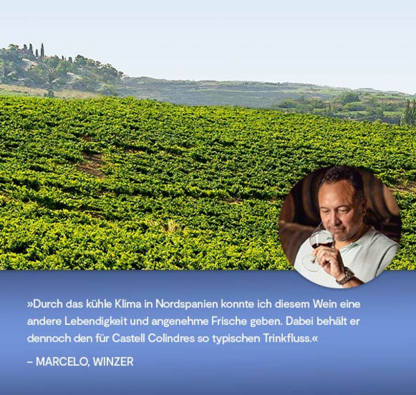 Castell Colindres Reserva Edición del Norte 2019