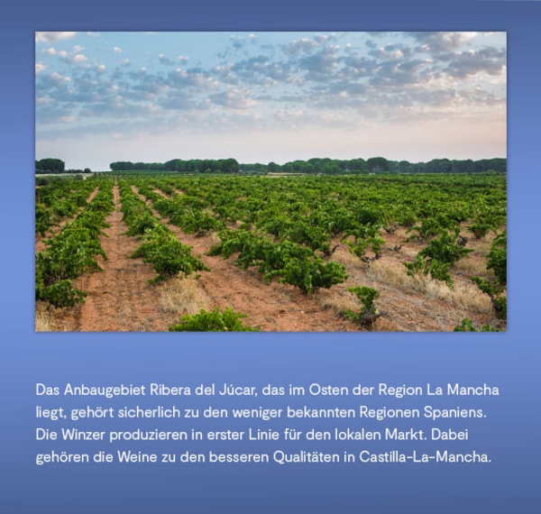 Tofterup Brothers Tempranillo 2021