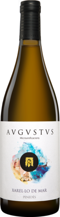 Avgvstvs Forvm Xarel.lo Barrica 2014