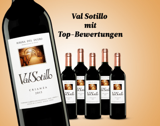 Val Sotillo Crianza 2015 Crianza