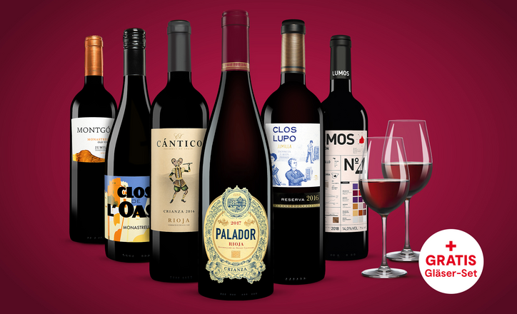 Vinos Rotwein Paket