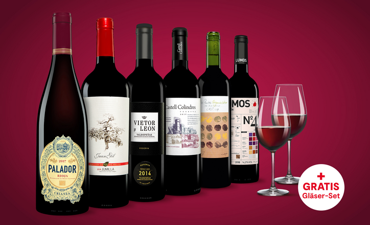 Vinos Rotwein Paket