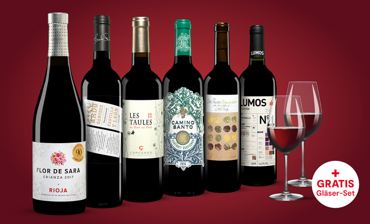 Vinos Rotwein Paket