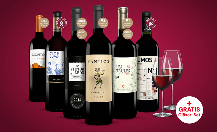 Spanien-Spezialist Vinos, Vinos Rotwein | Paket