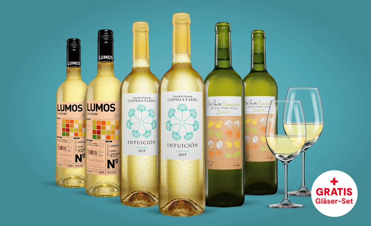 Vinos Weißwein Paket