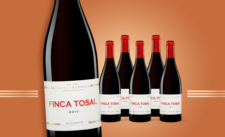 Enrique Mendoza Finca Tosal 2017