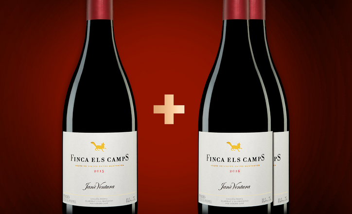 Jané Ventura »Finca Els Camps« Negre 1x 2015 + 2x 2016