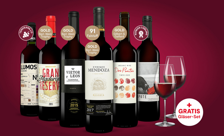 Vinos Rotwein Paket