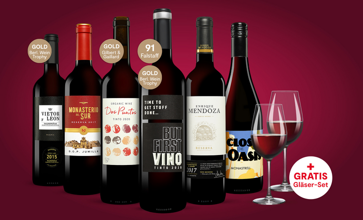 Vinos Rotwein Paket