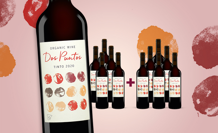 Dos Puntos Tinto Organic 2020 im 6+6 Sparpaket