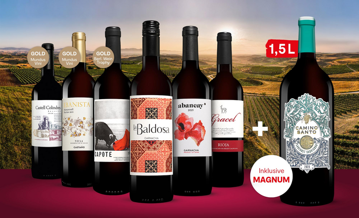 Vinos Rotwein Paket | Vinos, Spanien-Spezialist Nr.1