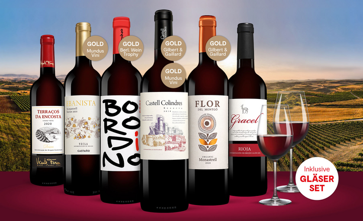 Rotwein Genuss Paket | Vinos, Spanien-Spezialist Nr.1