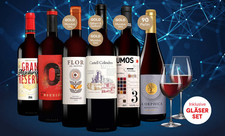 Vinos Cyber Wine Paket