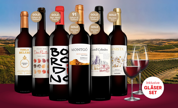 Vinos Rotwein Paket