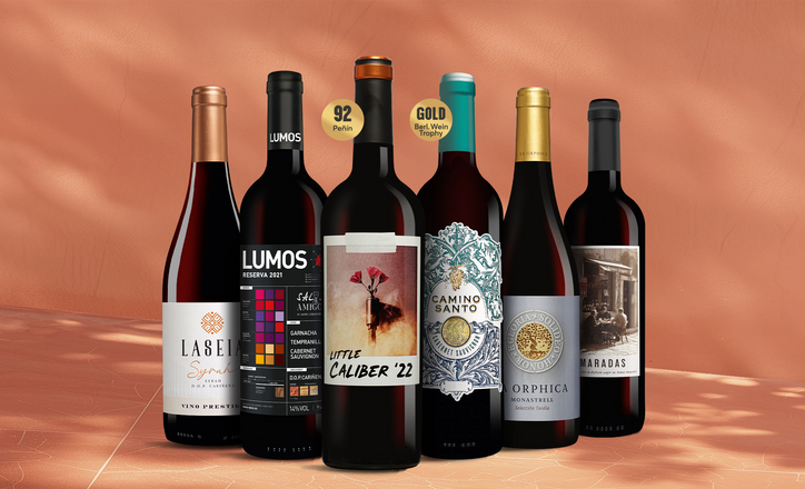 Tinto-Favoriten
