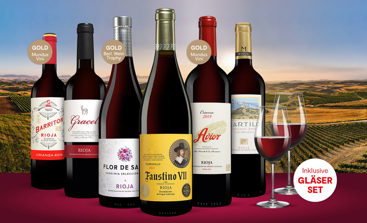 schnelle Lieferung Vinos Rioja Paket Vinos, Spanien-Spezialist 