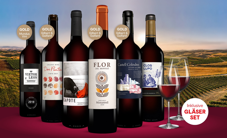 Vinos Rotwein Paket