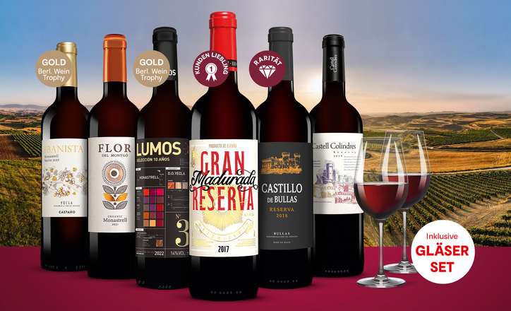 Vinos Südspanien Paket