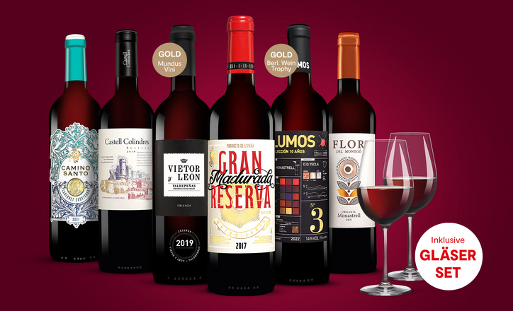 Vinos Rotwein-Favoriten