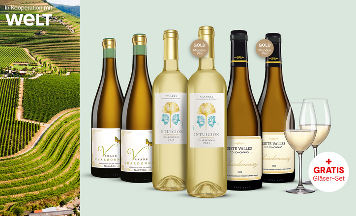 Vinos Chardonnay Paket