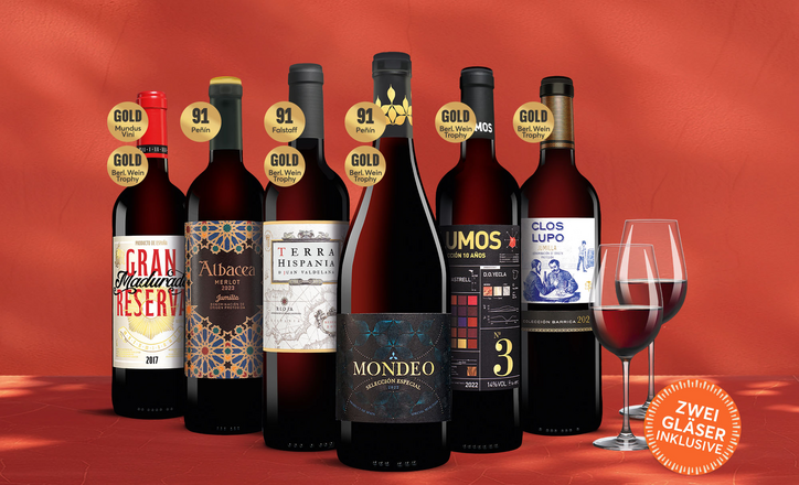 Spanien-Tinto-Paket